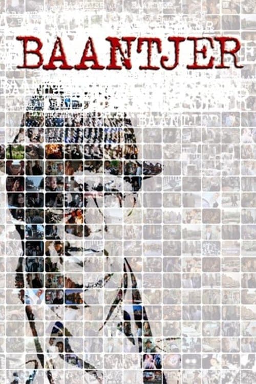 Baantjer (1995) poster