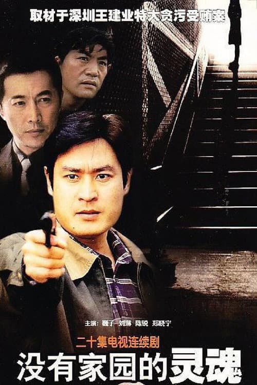 没有家园的灵魂 (2000) poster