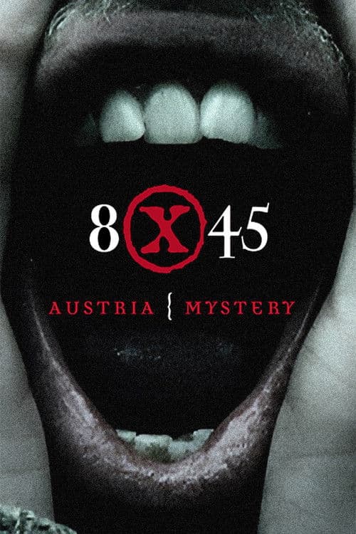 8 x 45 (2006) poster
