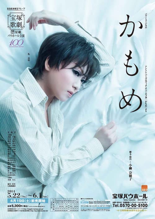 The Seagull poster