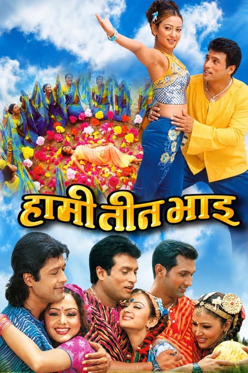Hami Teen Bhai (2004) poster