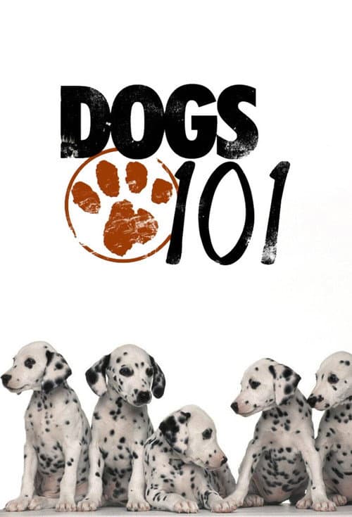 Dogs 101 (2008) poster