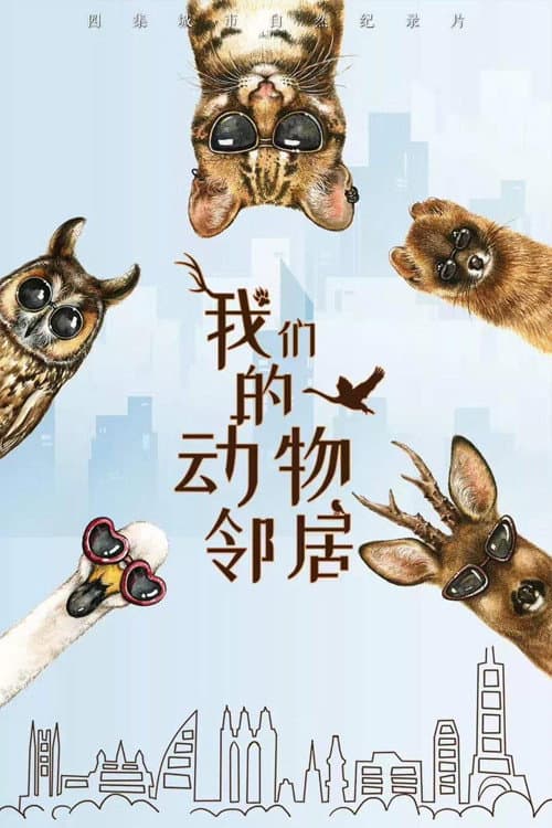 我们的动物邻居 poster