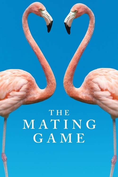 The Mating Game (2021) poster