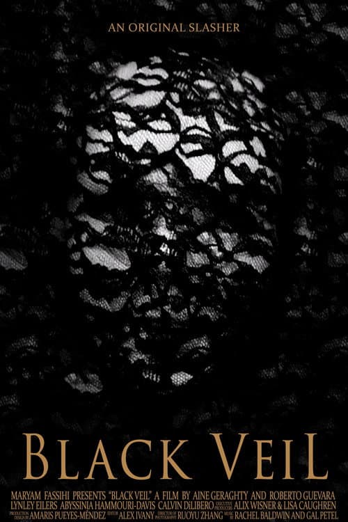 Black Veil (2024) poster