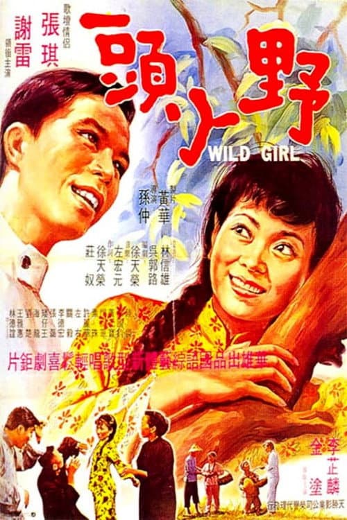 Wild Girl (1969) poster