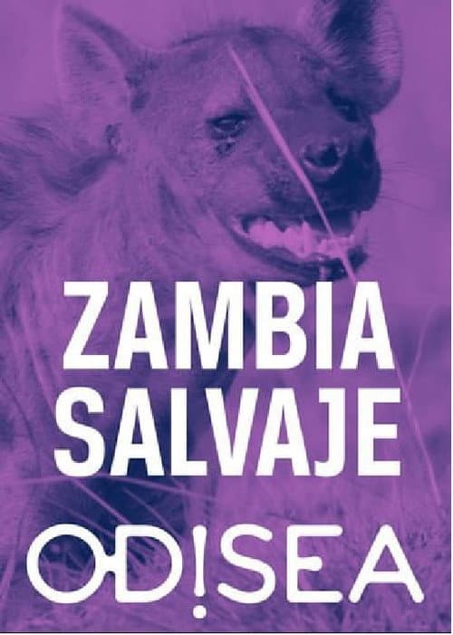 Tales from Zambia poster