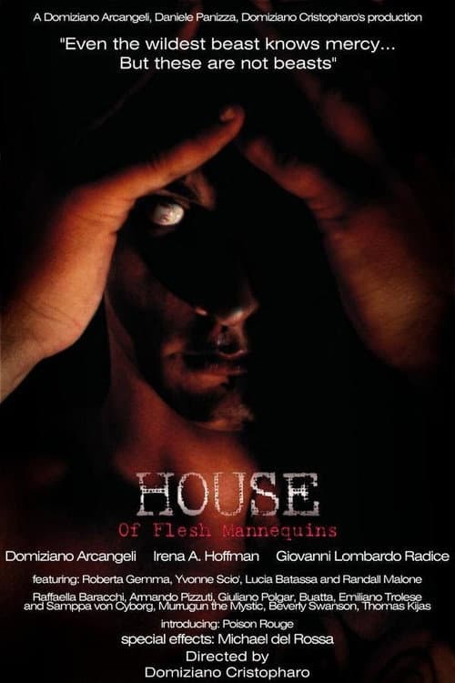 House of Flesh Mannequins (2009) poster