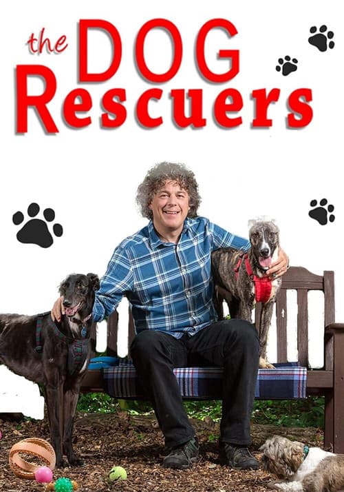 The Dog Rescuers with Alan Davies (2013) poster