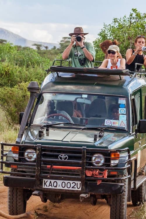 Killer Safari (2024) poster