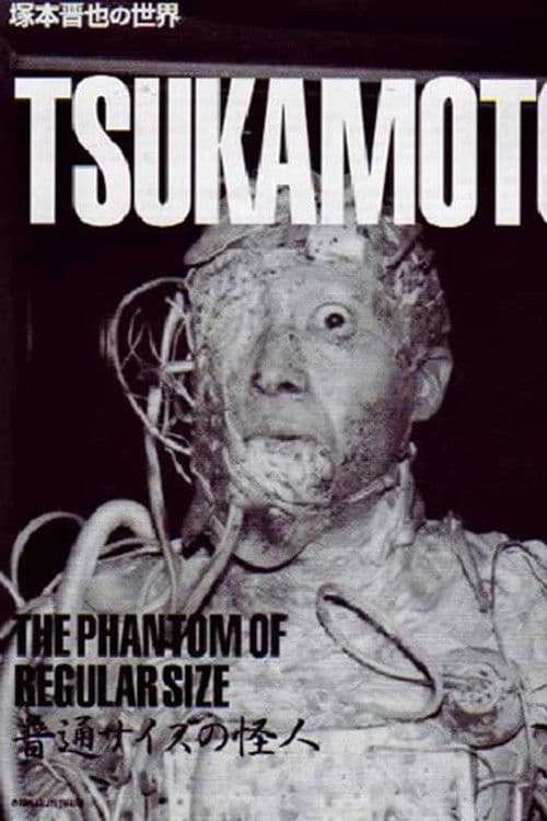 The Phantom of Regular Size (1986) poster