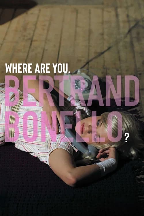 Where Are You, Bertrand Bonello? (2014) poster