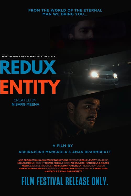 Redux entity (2026) poster