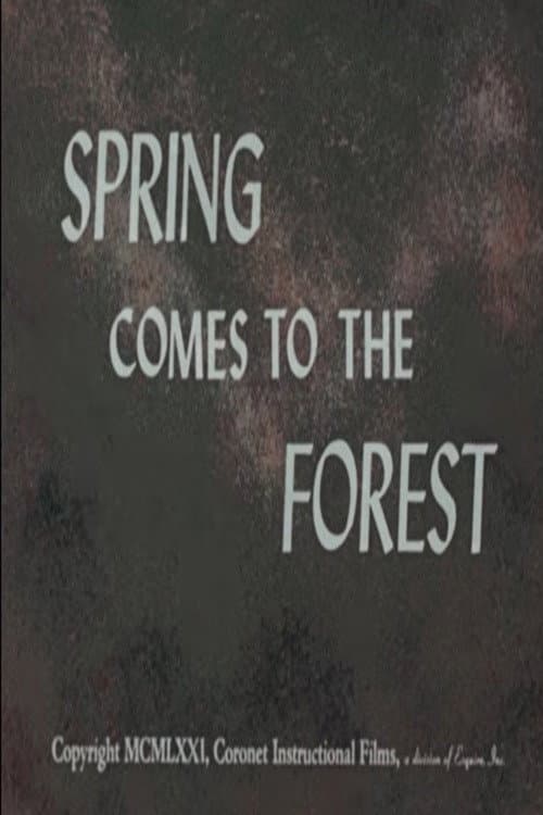 Spring Comes to the Forest poster