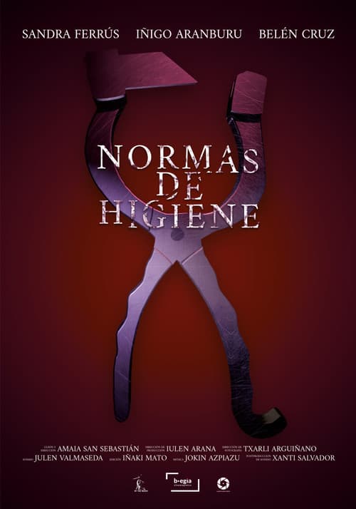Hygiene Standards poster