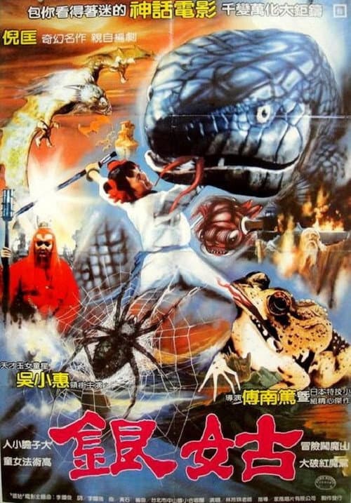 Silver Maid (1969) poster