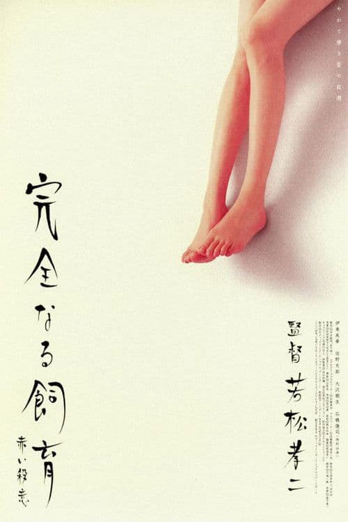Perfect Education 6 (2004) poster