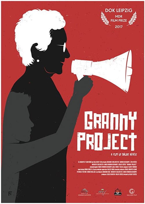 Granny Project (2017) poster