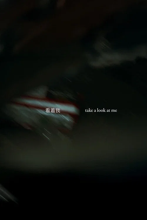 Take a Look at Me poster