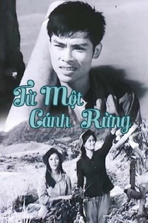 From The Same Forests (1978) poster