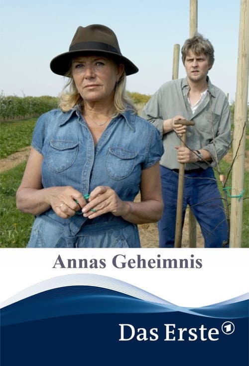 The Secret of Anna (2009) poster