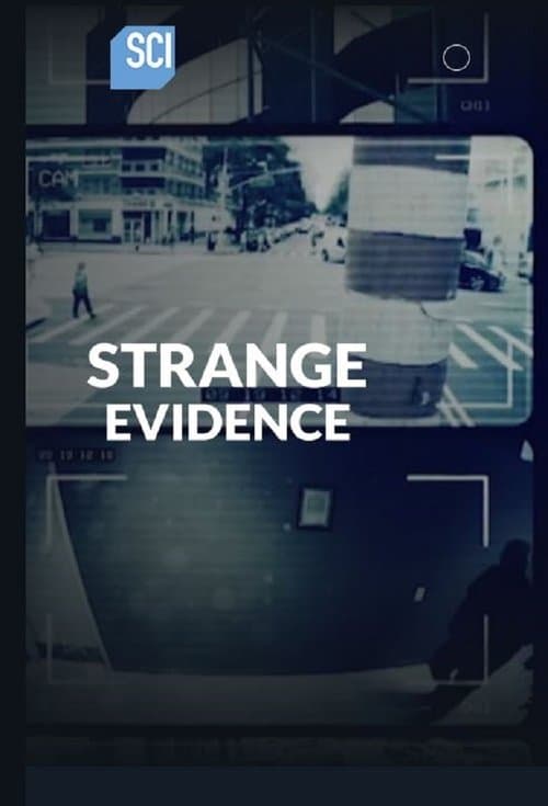 Strange Evidence (2017) poster