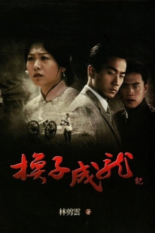 换子成龙 (2007) poster