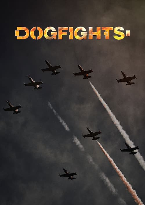 Dogfights (2006) poster