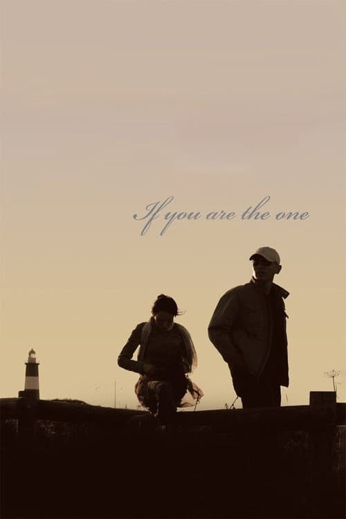 If You Are the One (2008) poster