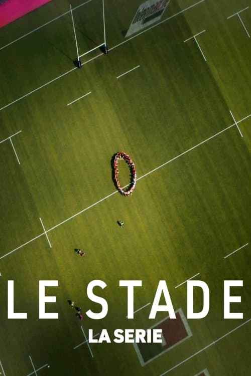 Le Stade poster