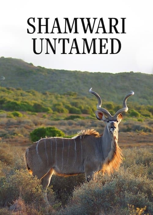 Shamwari Untamed (2018) poster