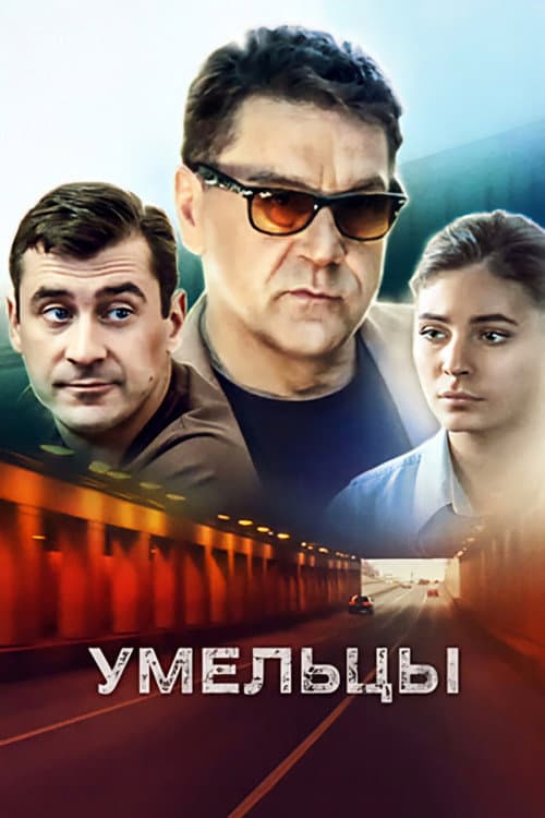 Умельцы (2014) poster
