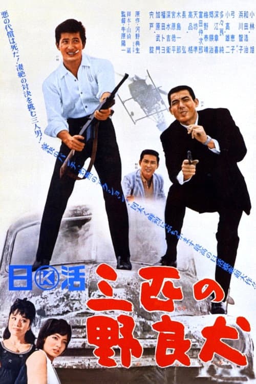 Three Stray Dogs poster