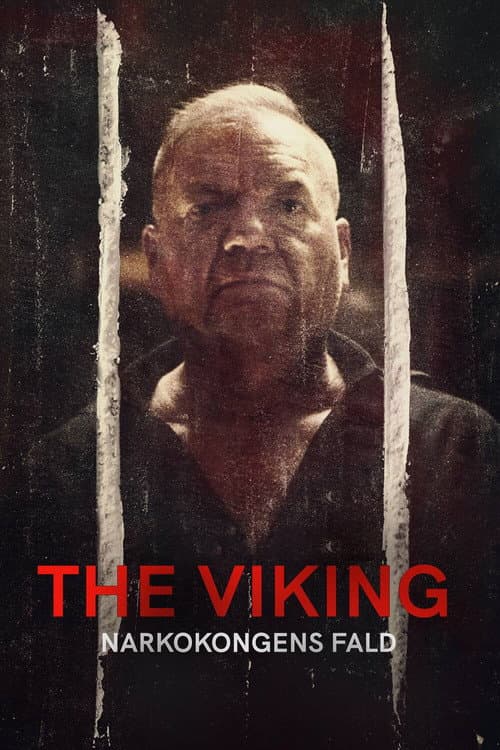 The Viking - Downfall of a Drug Lord (2022) poster
