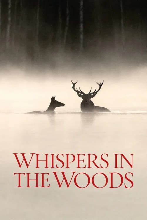 Whispers in the Woods (2025) poster