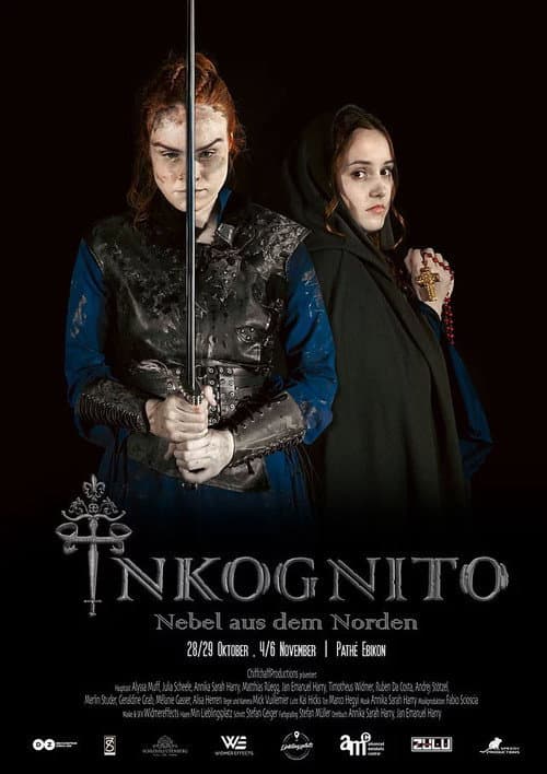 Inkognito - Nebel aus dem Norden poster
