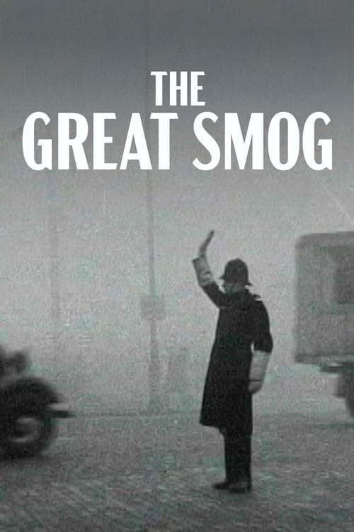The Great Smog of London (2026) poster