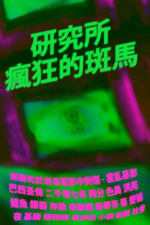 Instituto Zebechristha (2017) poster