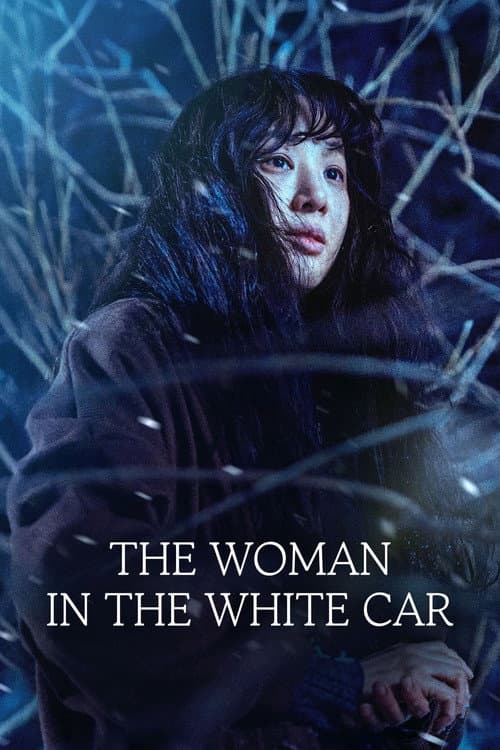 The Woman in the White Car (2025) poster