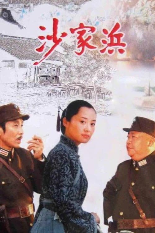 沙家浜 (2006) poster