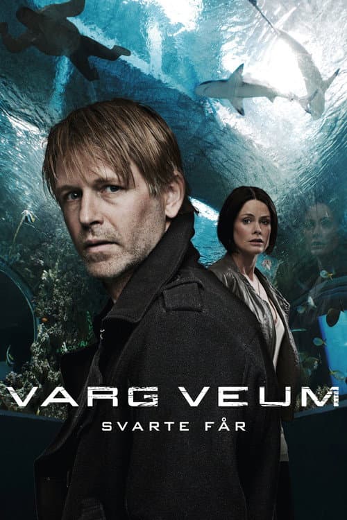Varg Veum - Black Sheep (2011) poster