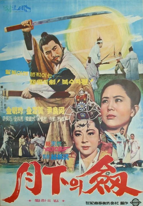 A Sword Under the Moon (1970) poster