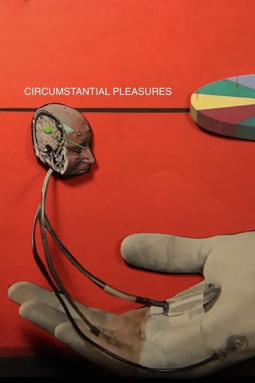 Circumstantial Pleasures (2020) poster