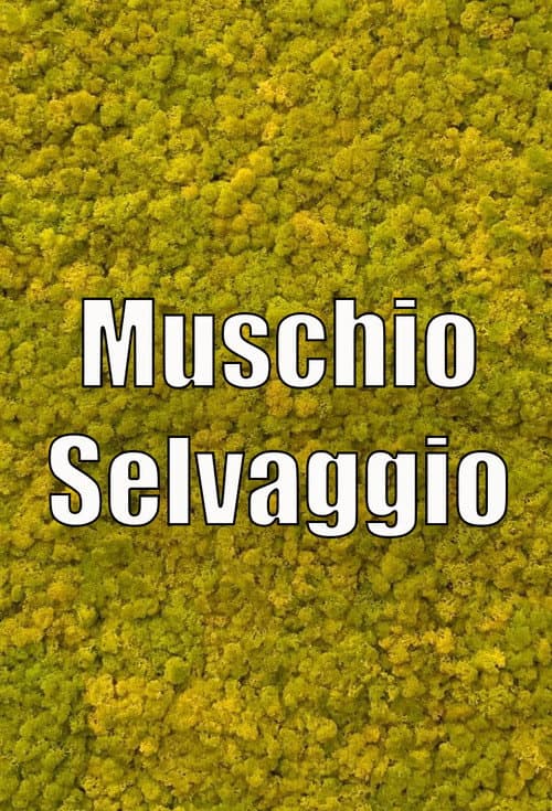 Wild Musk (2020) poster