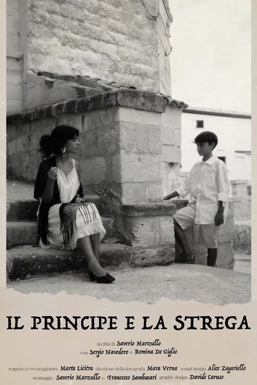 The Prince and the Witch poster