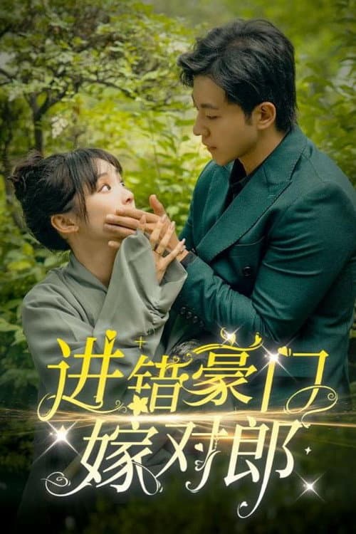 进错豪门嫁对郎 poster