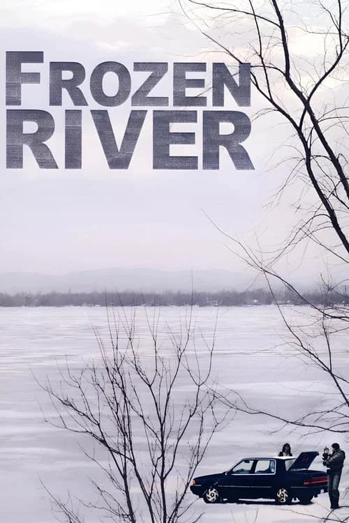 Frozen River poster