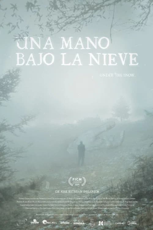 A Hand Beneath the Snow poster