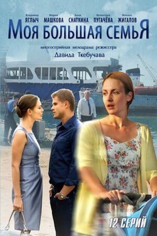Моя большая семья (2012) poster