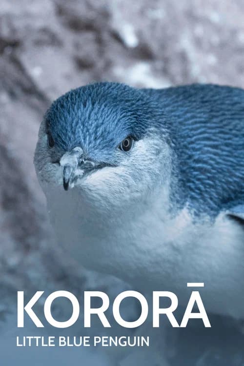 Kororā: Little Blue Penguin poster